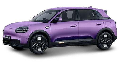 Chery Q